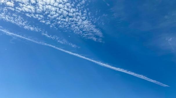青空に伸びる飛行機雲 飛行機雲,雲,空の写真素材