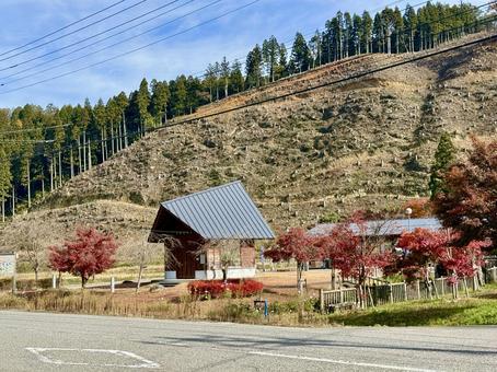 11月　秋の竹田水車メロディーパーク 竹田水車メロディーパーク,自然,水車の写真素材