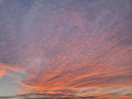 夕焼け 夕焼けの写真