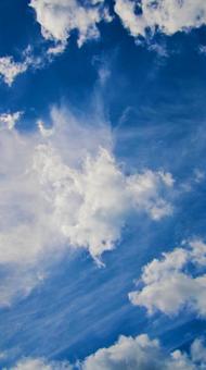 爽やかな夏の空 爽やかな夏の空 夏空,青空,空の写真素材