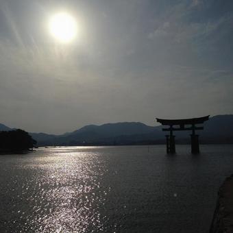 厳島神社 厳島神社,広島,観光名所の写真素材