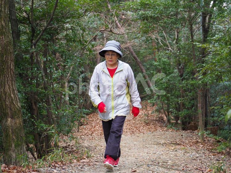 山道を歩くシニア女性 女性,シニア,高齢者の写真素材
