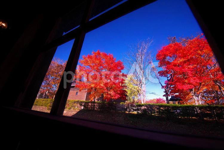 晩秋の北海道開拓の村 晩秋,開拓の村,建物の写真素材