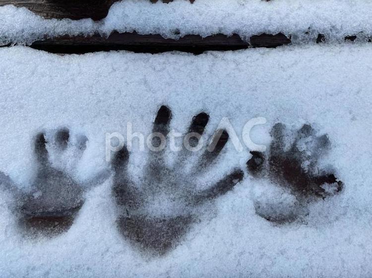 冬：雪の中の手形 雪,冬,風景の写真素材