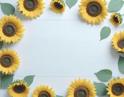ひまわりの花で囲まれた白い木目調背景 ひまわりの花で囲まれた白い木目調背景の写真