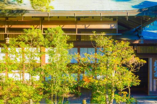 鎌倉の社殿と庭木 神社,木造建築,社殿の写真素材