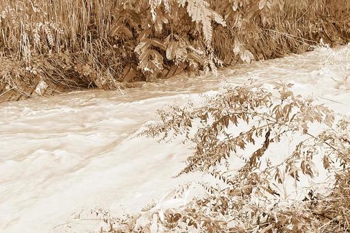 2025年9月の里山20の写真