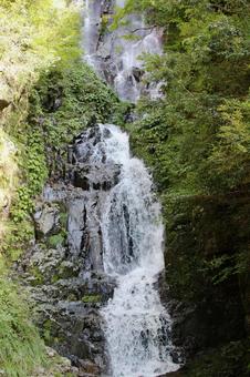 さわやかな滝3 さわやかな滝,瀧,常清滝の写真素材
