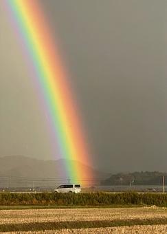 Photo, rainbow, landscape, after the rain, 