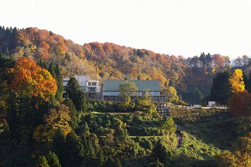 25年　山古志紅葉　校舎 木,風景,景色の写真素材