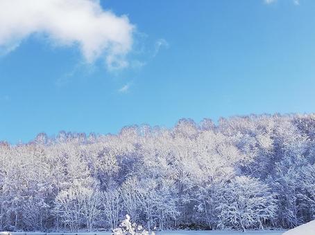 Winter Mountains, JPG