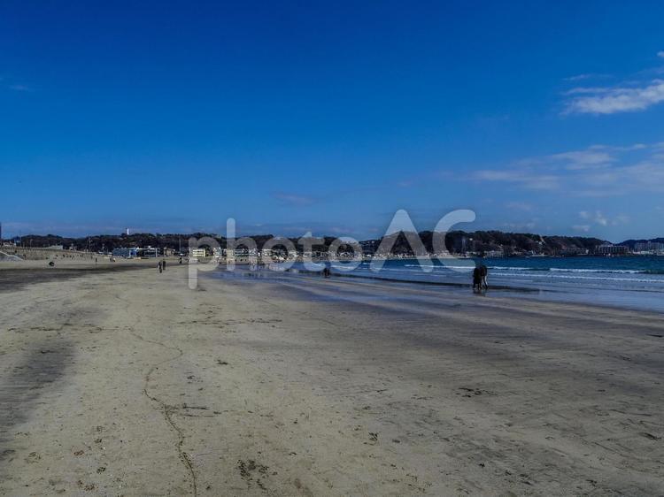 【神奈川県】鎌倉市・由比ガ浜 由比ヶ浜,由比ガ浜,海の写真素材