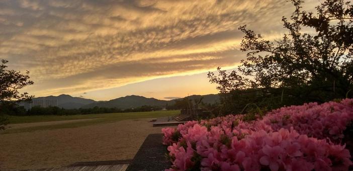 夕焼けの空 夕焼けの空の写真