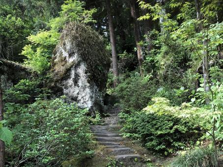 秩父の山道① 山,山道,森の写真素材