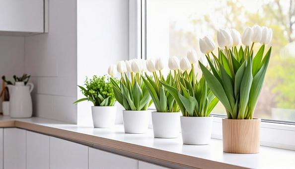 窓辺のチューリップ 窓辺のチューリップの写真