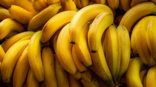 たくさんのバナナの写真