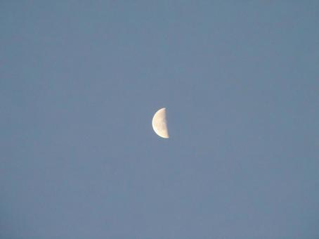 夕方の半月の写真