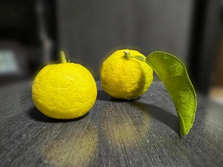 柚子 柚子,ユズ,柑橘系の写真素材