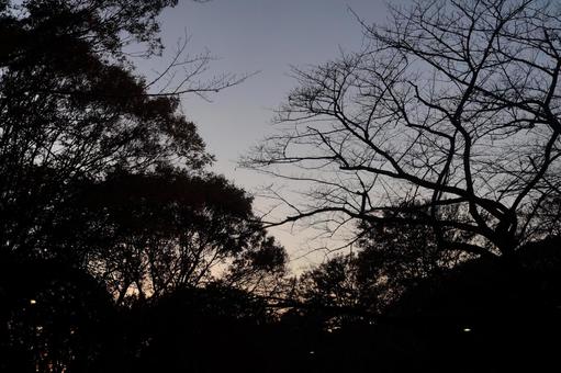 夜景 夜景の写真