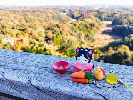 来年の干支と秋の眺望と 紅葉,展望台,眺望の写真素材