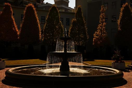 噴水3 噴水,銀杏,広場の写真素材