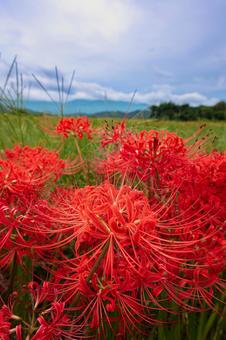 彼岸花の見える風景 彼岸花の見える風景の写真