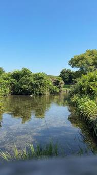 馬込川みずべの公園の池 馬込川みずべの公園の池 水,水遊び,夏の写真素材