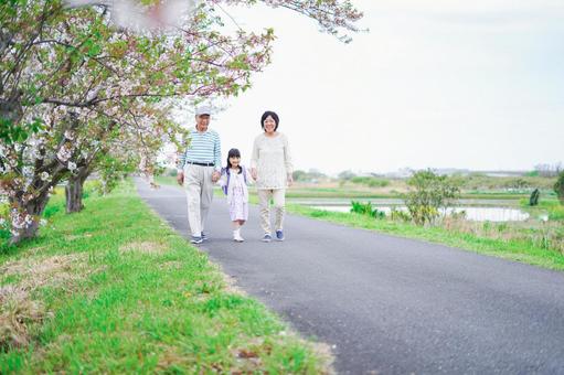 祖父母と元気に登校する小学生の女の子 元気,子育て,教育の写真素材