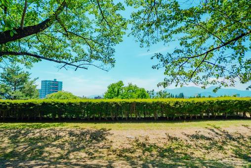 Photo, iwate, morioka, 2025, 