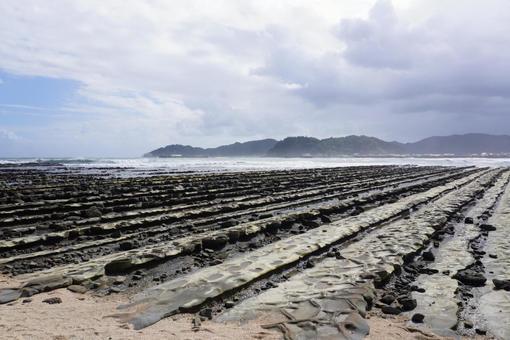 宮崎県青島鬼の洗濯板 宮崎県青島鬼の洗濯板の写真