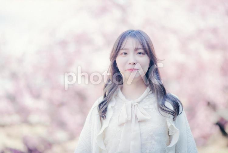 寒桜と女性 女性,綺麗,キレイの写真素材