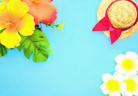 夏 イメージ③ 夏 イメージ③の写真