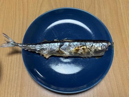 サンマ サンマ サンマ,秋刀魚,皿の写真素材