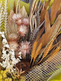 ドライフラワー ドライフラワー,ブーケ,壁飾りの写真素材