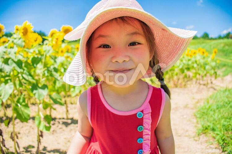 ひまわり畑と女の子 向日葵,笑顔,子供の写真素材