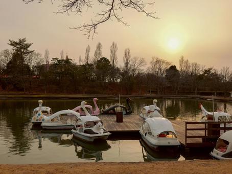 スワンボートの写真