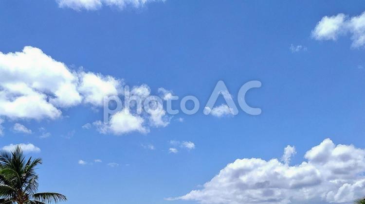 ハワイ　美しき南国の空 青空,雲,夏の写真素材