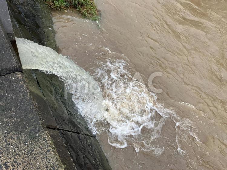 大雨で増水した川に流れこむ下水道 雨,土砂降り,草の写真素材