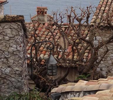 蔦とランプ フランス,エズ,ランプの写真素材