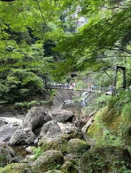 橋 橋の写真