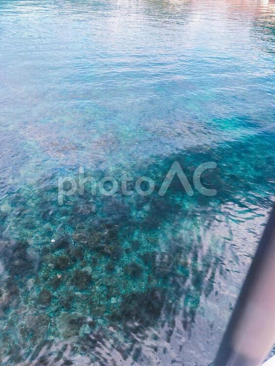 すきとおる うみ,透き通る,きれいの写真素材