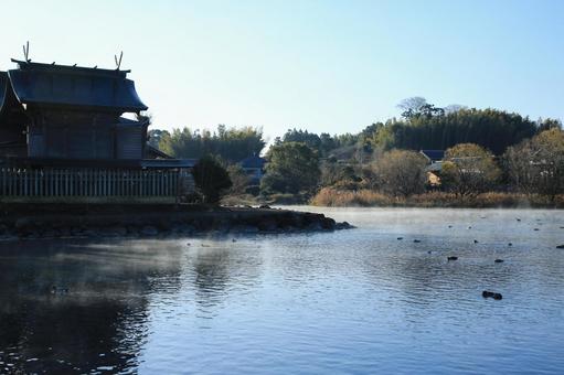 熊本県嘉島町 浮島池 熊本県嘉島町 浮島池 浮島池,浮島,池の写真素材