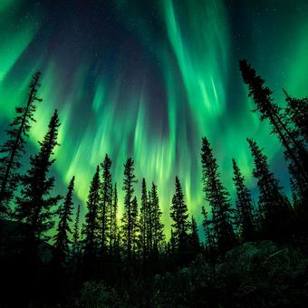 夜空を彩る幻想的な北極光の輝き 夜空を彩る幻想的な北極光の輝きの写真