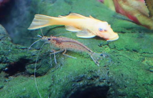 のんびり佇んでいるの写真