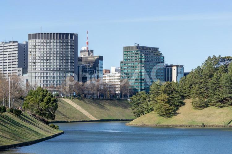 皇居 皇居,公園,植物の写真素材