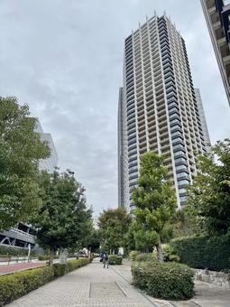 目黒　花房山通り 目黒,花房山通り,タワーマンションの写真素材