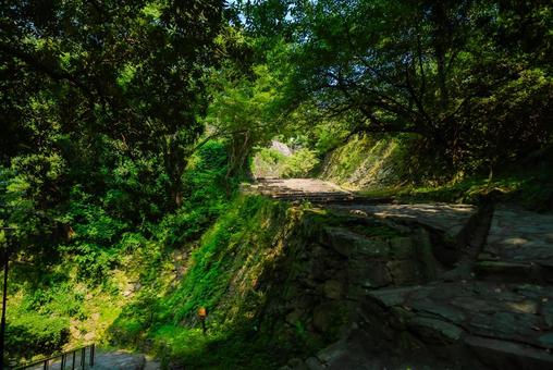 【和歌山】和歌山城 2025 【和歌山】和歌山城 2025 和歌山城,和歌山,2025の写真素材