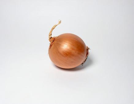 玉ねぎ 単品 4 玉ねぎ 単品 4の写真