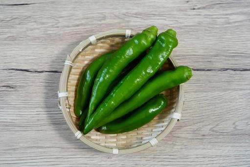 朝どれの万願寺とうがらし 万願寺とうがらし,野菜,ししとうの写真素材