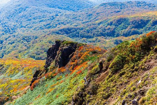 秋色に染まる　栗駒山の絶景 山,秋,紅葉の写真素材